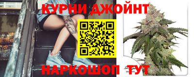 индика Жуковский