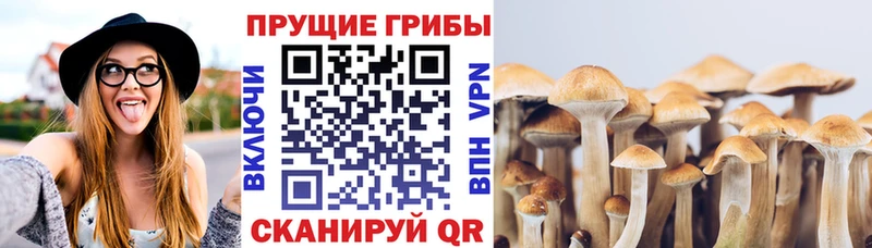 Псилоцибиновые грибы Psilocybine cubensis  мега ссылки  Новосибирск 