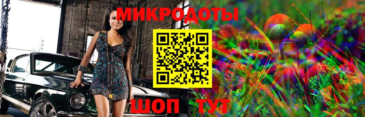 Псилоцибиновые грибы Cubensis  Вход с VPN  Новосибирск 