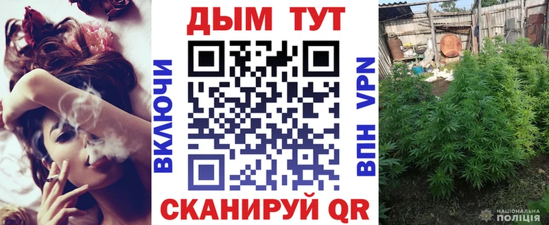 Шишки марихуана марихуана  это Telegram  Новосибирск 